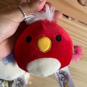 Paco Squishmallow Clip BNWT